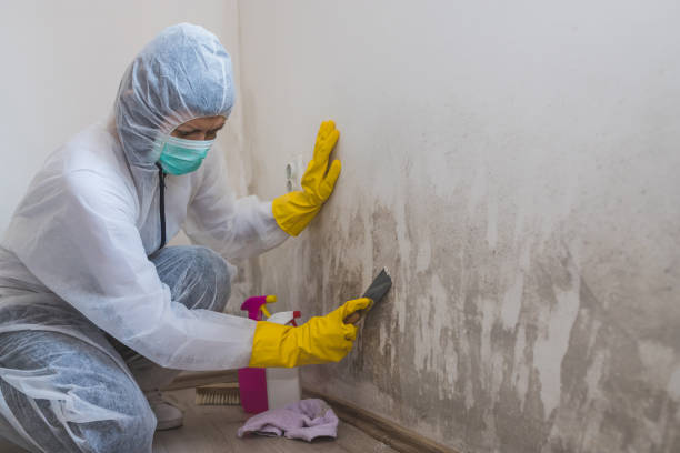 Best Residential Mold Inspection & Testing  in Heritage Lake, IN